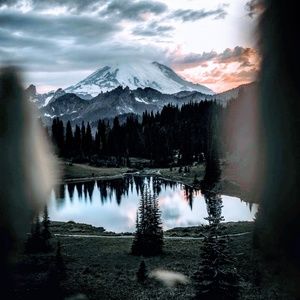 Meet your Posher, Saul